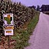 Corn fields along road
