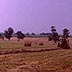 Farmer baling hay