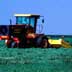 Farmer Cutting Irrigated Alfalfa