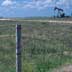 BRG Petroleum / Oil Pump in Grassland
