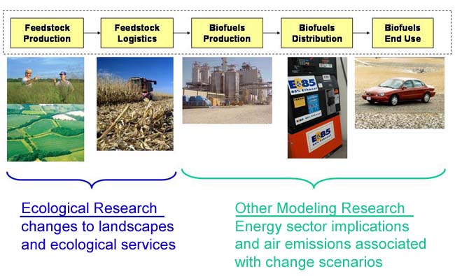 FML research areas