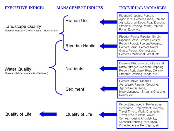 Web Levels