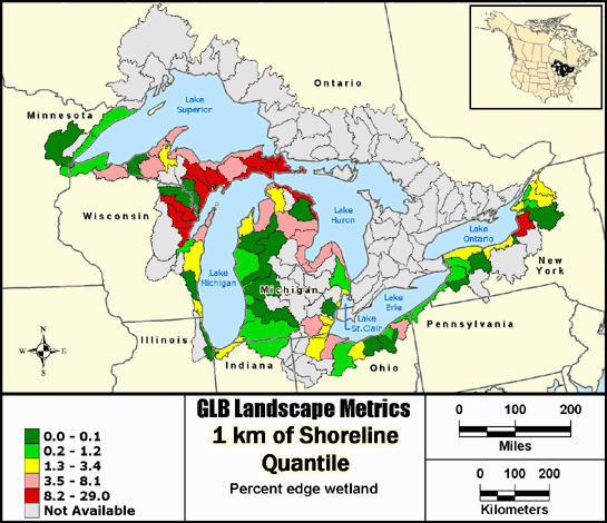 Metric Map puuawedge9
