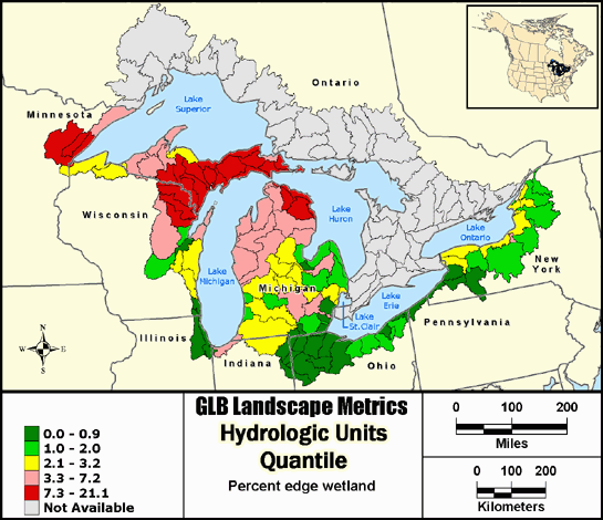 Metric Map puuawedge9