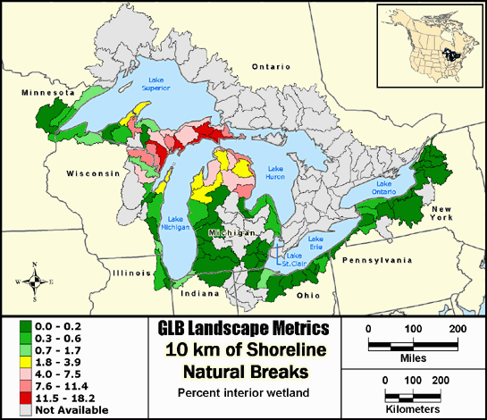 Metric Map puuawintr9