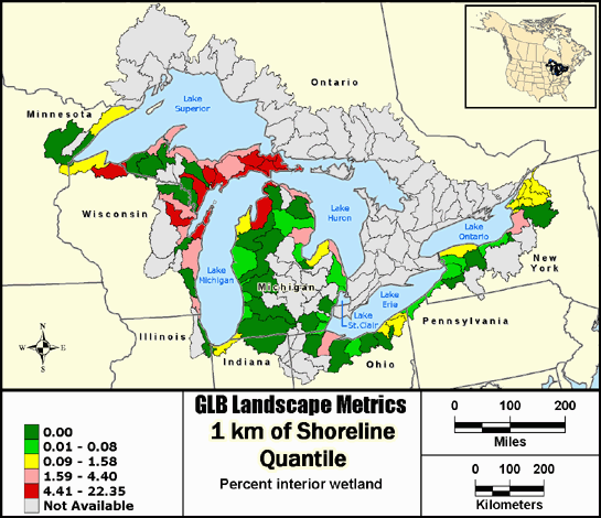 Metric Map puuawintr9