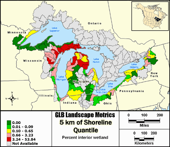 Metric Map puuawintr9