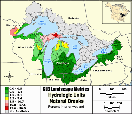 Metric Map puuawintr9