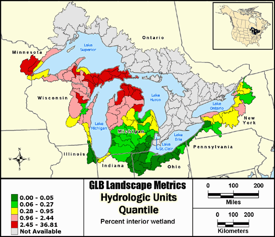 Metric Map puuawintr9