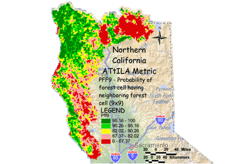 Image of Northern California Neighbor Forest Cell