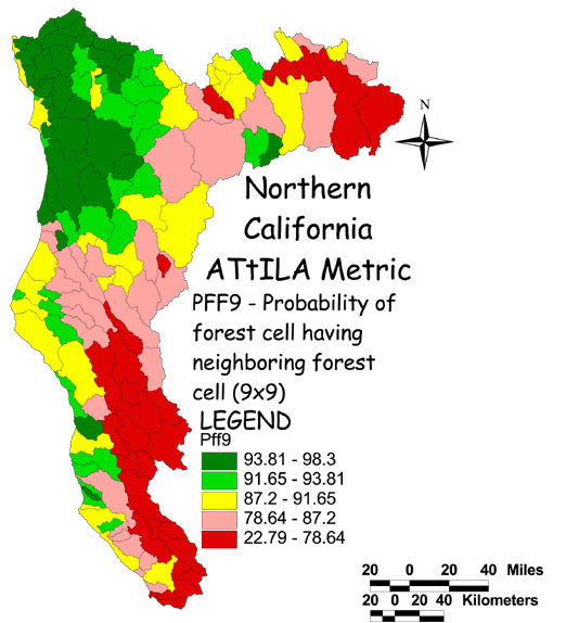 Large Image of Northern California Neighbor Forest Cell