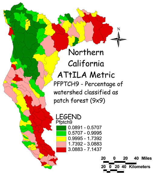 Large Image of Northern California Patch Forest