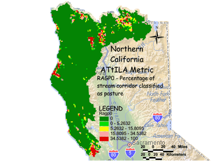 Image of Northern California Pasture/Stream Corridor