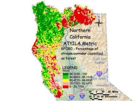 Image of Northern California Forest/Stream Corridor