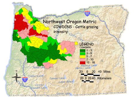 Image of Northwest Oregon Cow Grazing Intensity