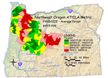 Image of Northwest Oregon Average Forest