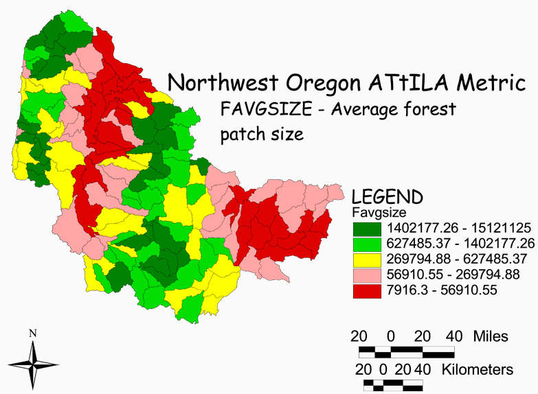 Large Image of Northwest Oregon Average Forest