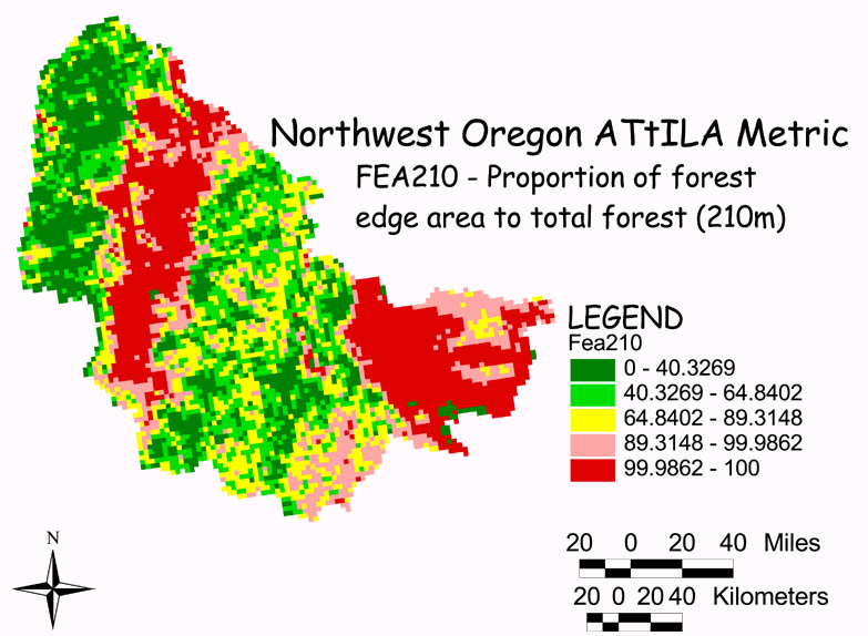 Large Image of Northwest Oregon Forest Edge/Total Forest