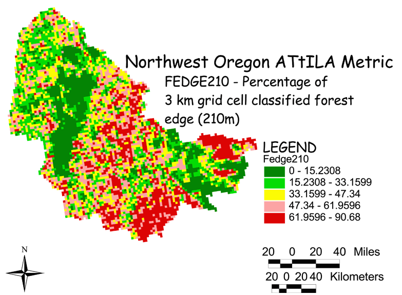 Large Image of Northwest Oregon Forest Edge