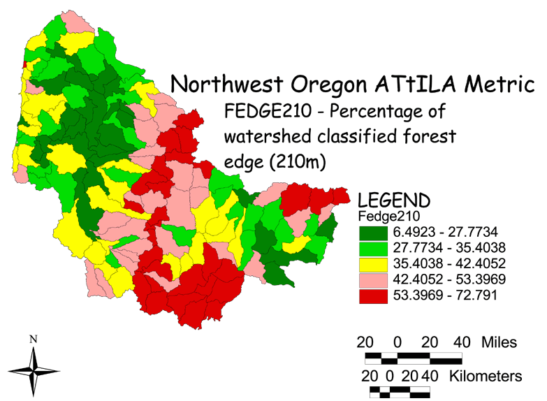 Large Image of Northwest Oregon Forest Edge