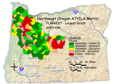 Image of Northwest Oregon Largest Forest