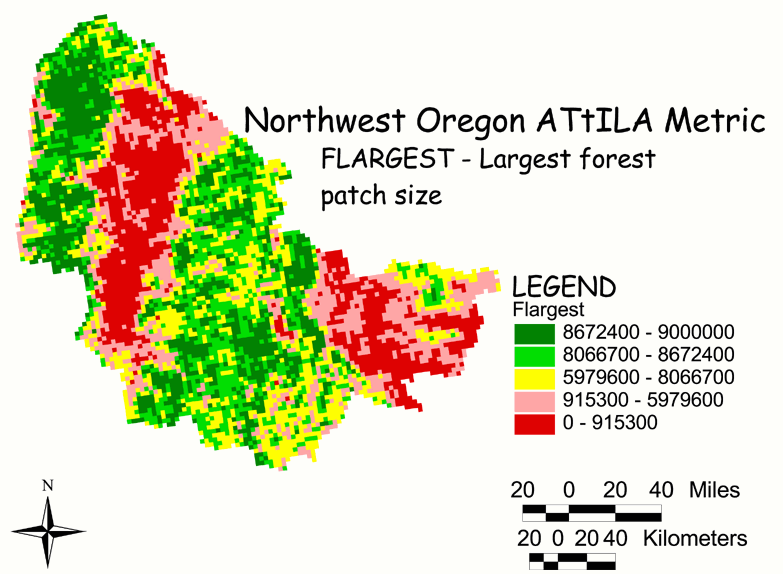 Large Image of Northwest Oregon Large Forest