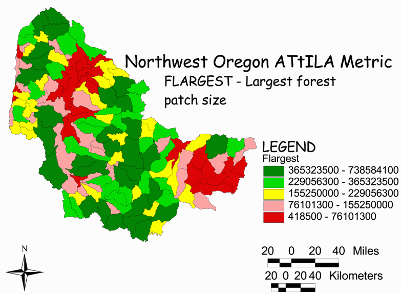 Large Image of Northwest Oregon Largest Forest