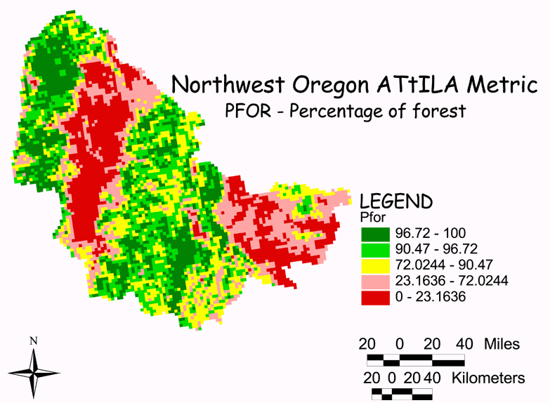 Large Image of Northwest Oregon Forest