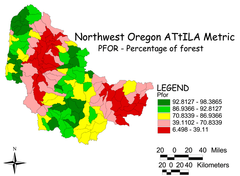 Large Image of Northwest Oregon Forest