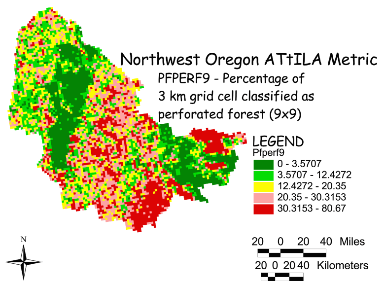 Large Image of Northwest Oregon Perforated Forest