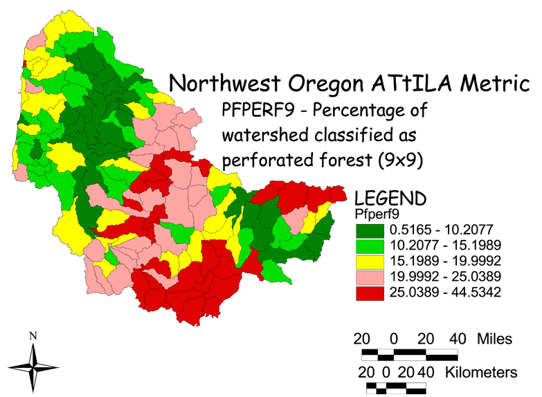 Large Image of Northwest Oregon Perforated Forest