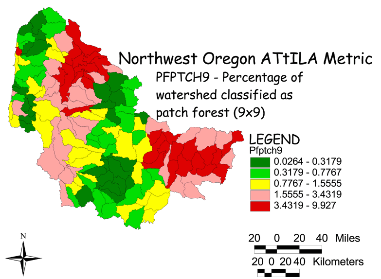 Large Image of Northwest Oregon Patch Forest