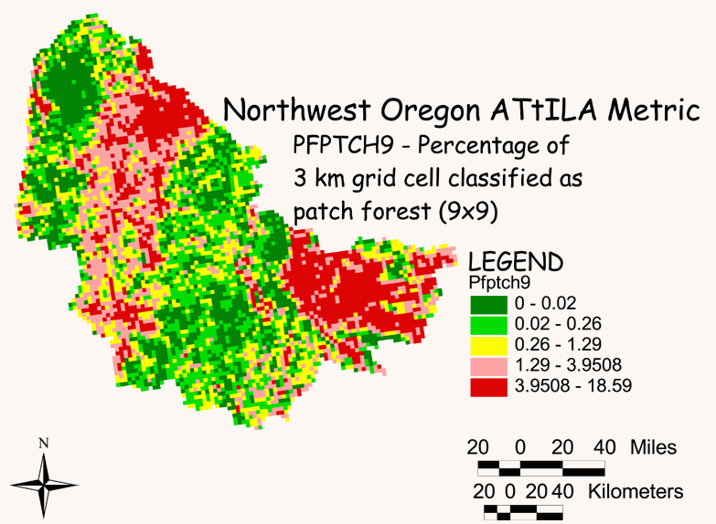 Large Image of Northwest Oregon Patch Forest