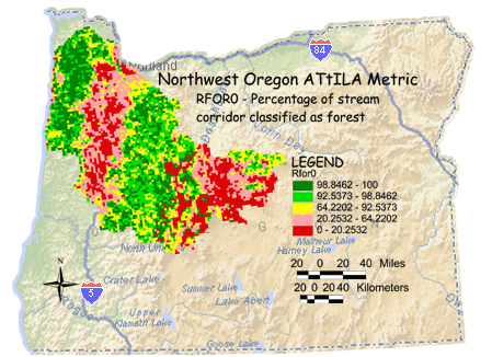 Image of Northwest Oregon Forest/Stream Corridor
