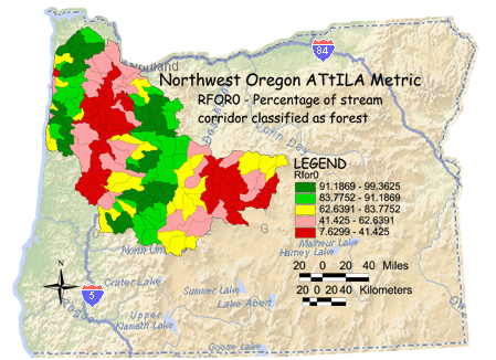 Image of Northwest Oregon Stream Corridor/Forest