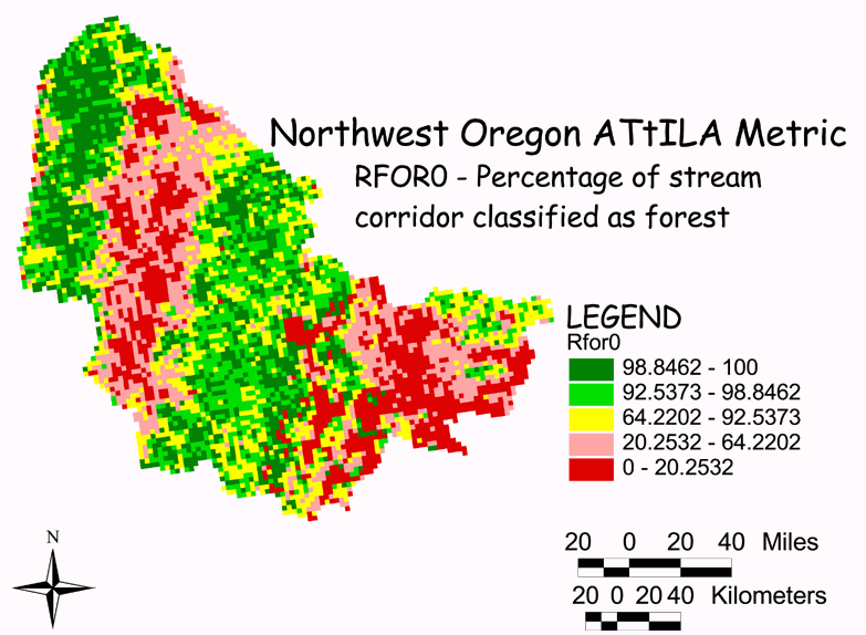 Large Image of Northwest Oregon Forest/Stream Corridor