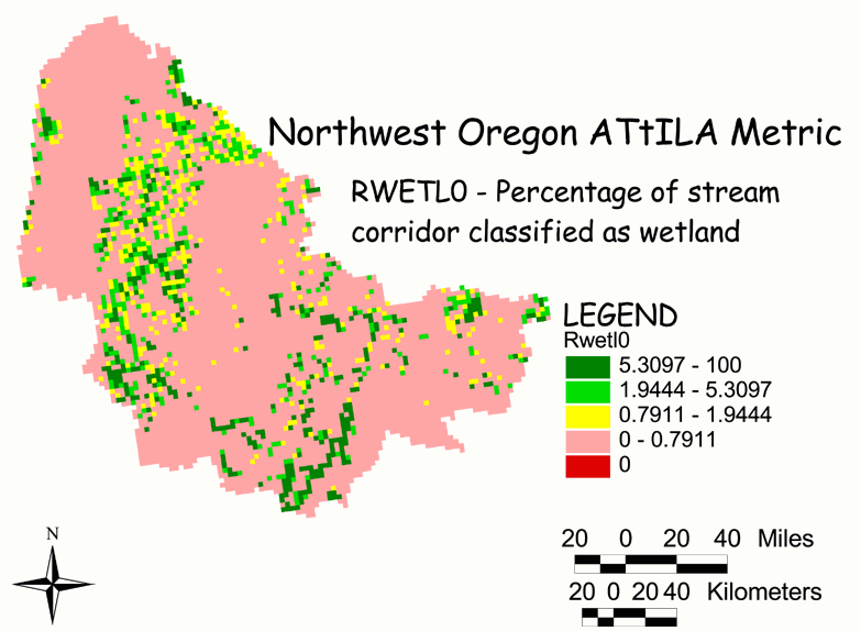 Large Image of Northwest Oregon Wetland/Stream Corridor