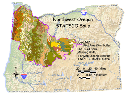 Image of Northwest Oregon STATSGO Soils