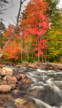 Big Moose River