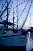 Trawling & Fishing Gear Damage