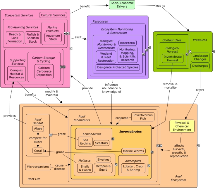 BG - Deciphering the origin of dubiofossils from the Pennsylvanian of the  Paraná Basin, Brazil