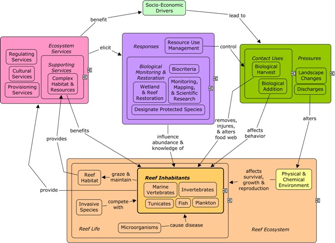 BG - Deciphering the origin of dubiofossils from the Pennsylvanian of the  Paraná Basin, Brazil