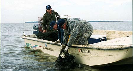 Mississippi Department of Marine Resources employees Rudy Balius, left, maneuvers a boat to help Buddy Goff, center, and Doug Drieling remove a derelict crab traps from the West Pascagoula River on Jan. 25, 2003. A total of 553 abandoned traps were recovered during Mississippi's first volunteer Derelict Crab Trap Cleanup Day.