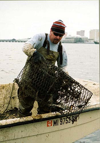 Mississippi Department of Marine Resources fisheries biologist Bill Richardson collects derelict crab traps west of the Biloxi-Ocean Springs Bridge on Jan. 22, 2003, the second day of Mississippi's derelict crab trap cleanup. More than 1,400 abandoned crab traps were picked up by the DMR, Gulf Coast Research Lab and volunteers during Mississippi's first closed crab trap season. The season opened on Jan. 26.