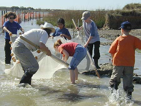 3: Margaret Frick and Ed White Elementary fourth grade students pull in a seine net while on a wetlands education field trip.