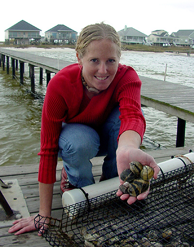 Photo by Carrie Robertson: Oyster Gardening - Kim Hamilton, project leader of the Shellfish Restoration Project on Dauphin Island, Alabama, shows some of the thousands of oysters raised as part of the project. Volunteers participated by growing oysters from spat to maturity in cages extended from backyard piers all along Mississippi Sound. Project leaders collected the mature oysters and deposited them at specific sites in the sound to help restore historic oyster beds.