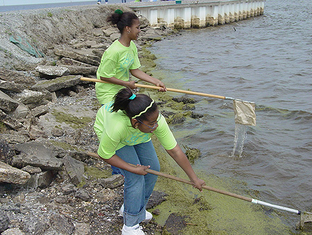Youth/Education Category - 1st Place: Students are dipping their nets to collect macroinvertebrates that will be classified as part of biological water quality testing they do with experts from the University Of New Orleans and the Lake Pontchartrain Basin Foundation.