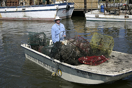 Government Category - 2nd Place: Bradley Randall, Gulf Coast Research Laboratory, arriving at the dock at Bayou Caddy, Mississippi with a load of derelict crab traps for disposal.