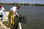 Government Category - 2nd Place: Bill Richardson, Mississippi Department of Marine Resources, removing a derelict crab trap from Davis Bayou, Mississippi.
