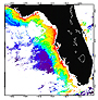 Satellite image showing pigment concentration off western Florida in August 2001